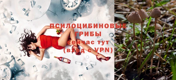 дмт Протвино