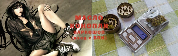 дмт Протвино