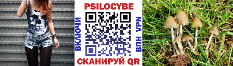где купить наркоту  Смоленск  Псилоцибиновые грибы ЛСД 